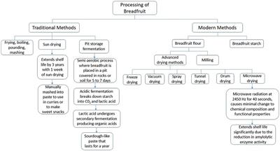 Breadfruit (Artocarpus altilis): Processing, nutritional quality, and food applications